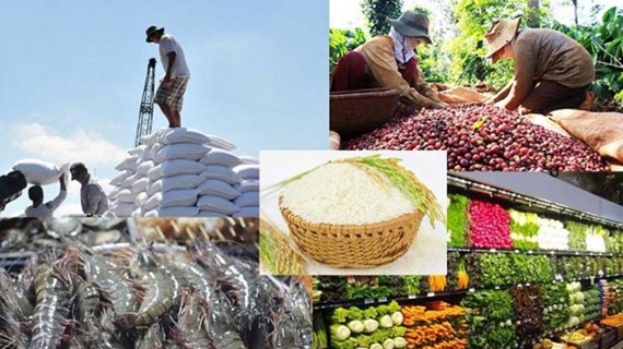 Les produits agricoles vietnamiens pénètrent le marché sud-coréen