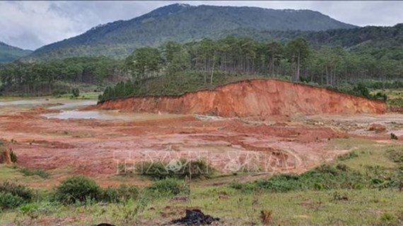 Renforcement des écosystèmes dans les provinces de Lam Dong et de Dak Nong
