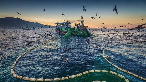 Lutte contre la pêche INN: tout a été mis en oeuvre pour faire retirer le «carton jaune» de la CE