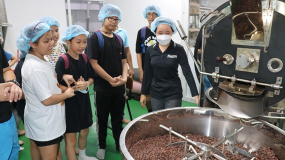 Déguster le chocolat authentique vietnamien