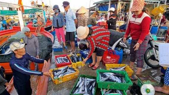 La production halieutique de Ninh Thuan en hausse au premier semestre