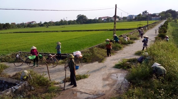 Nouvelle Ruralité : Plus de 1.300 milliards de dongs pour des infrastructures à Hung Yen