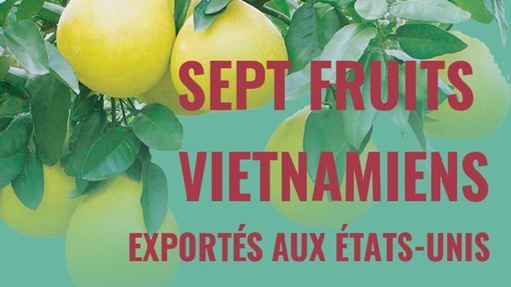 Sept fruits vietnamiens exportés aux États-Unis