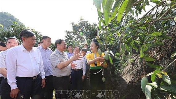 Le PM inspecte des ouvrages clés à Hoà Binh et Son La