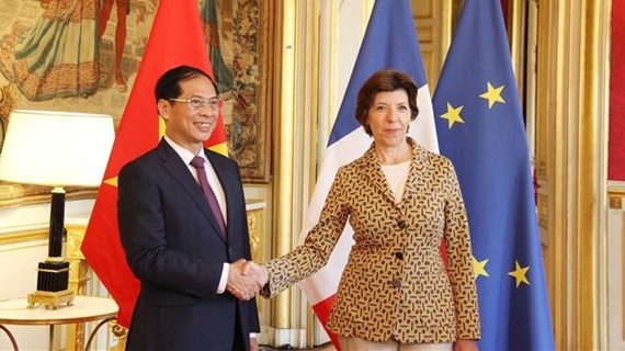 Le Vietnam et la France veulent porter leur coopération à une nouvelle hauteur