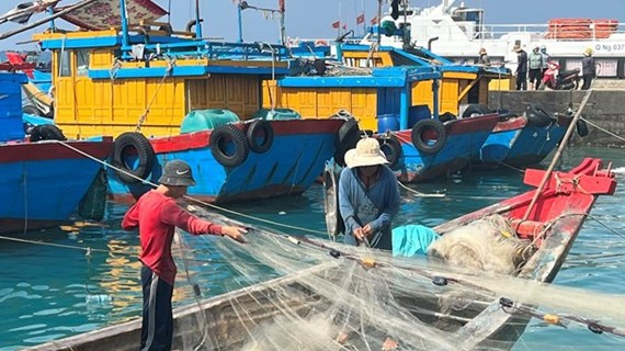 La province de Tien Giang redouble des efforts contre la pêche INN