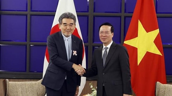 Le président Vo Van Thuong rencontre l'Association des experts Japon-Vietnam