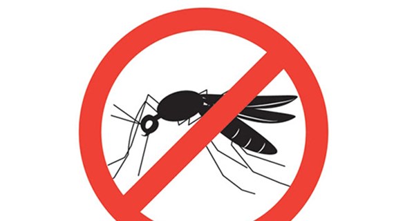 Le Vietnam confiant dans l’élimination du paludisme d’ici 2030