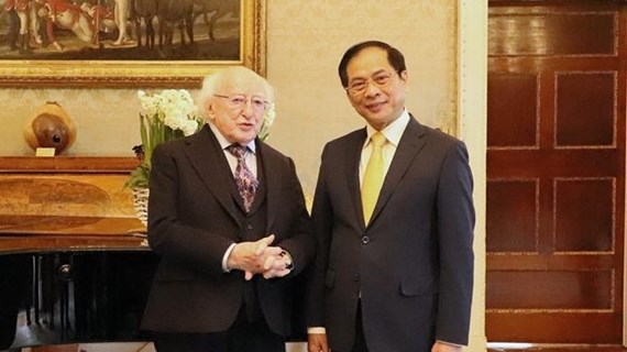 Le Vietnam souhaite toujours renforcer ses relations avec l'Irlande