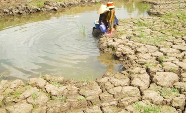 Les Pays-Bas aident a ameliorer les capacites d'approvisionnement en eau dans le delta du Mekong hinh anh 1