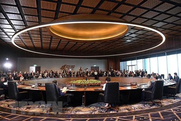 La Papouasie-Nouvelle-Guinee publie la declaration du president de l’APEC hinh anh 1