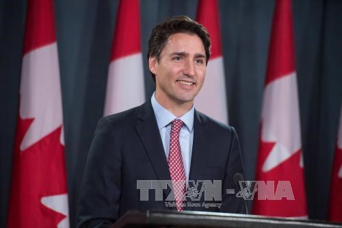 Le PM canadien adresse ses vœux du Tet a la communaute des Vietnamiens hinh anh 1