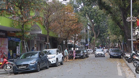 Hanoi a la saison du changement de couleur des feuilles hinh anh 1