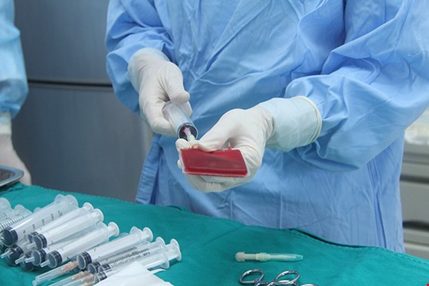 Plus de 750 transplantations de cellules souches du sang realisees au Vietnam hinh anh 1