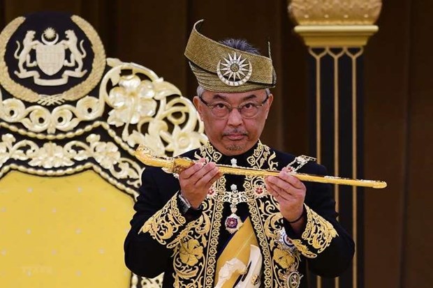 Ceremonie du couronnement du 16e roi de Malaisie hinh anh 1