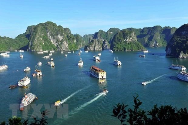 La baie d'Ha Long, l'une des attractions les plus populaires en Asie hinh anh 1