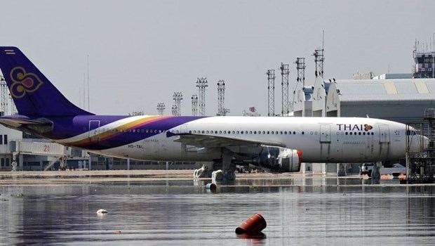 Thai Airways International suspendra ses vols pendant deux mois hinh anh 1