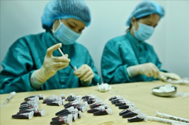 COVID-19 : un vaccin vietnamien sera teste sur l'homme l'an prochain hinh anh 1