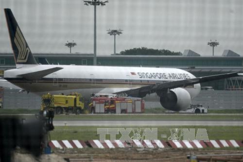 Singapore Airlines reprendra sa ligne vers Fukuoka (Japon) en novembre hinh anh 1