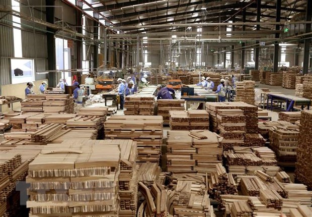 Les ventes de bois et de produits sylvicoles atteignent 11,7 mds de dollars hinh anh 1