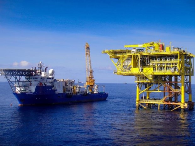 Le PVEP remplit l’objectif d’exploitation de 2,2 millions de tonnes de petrole en 2020 hinh anh 1