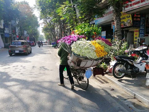 Les rues hanoiennes au rythme des saisons des fleurs hinh anh 1