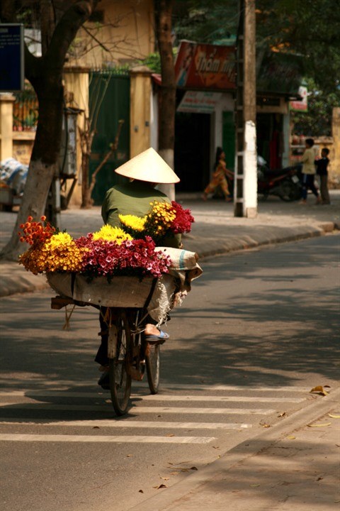Les rues hanoiennes au rythme des saisons des fleurs hinh anh 2