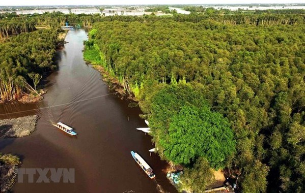 Mobiliser des ressources pour le nouveau projet de planification du delta du Mekong hinh anh 1