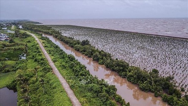 Mobiliser des ressources pour le nouveau projet de planification du delta du Mekong hinh anh 2