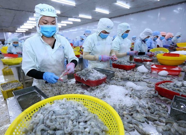 La consommation de produits aquatiques vietnamiens devrait se redresser fortement hinh anh 1