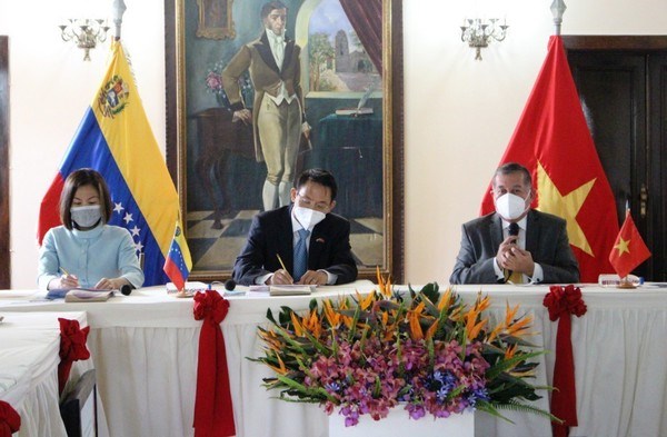 Renforcement de la cooperation decentralisee Vietnam-Venezuela hinh anh 1