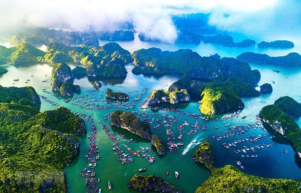 Le Vietnam souhaite devenir un pays pionnier sur la reduction de la pollution des oceans hinh anh 1