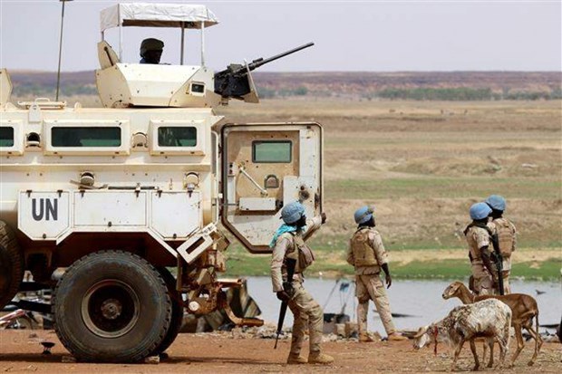 Le Vietnam appelle a plus d'efforts pour la paix au Mali hinh anh 1