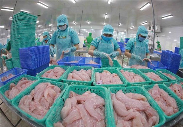 Les exportations de poisson tra maintiennent l'objectif fixe pour 2021 hinh anh 1