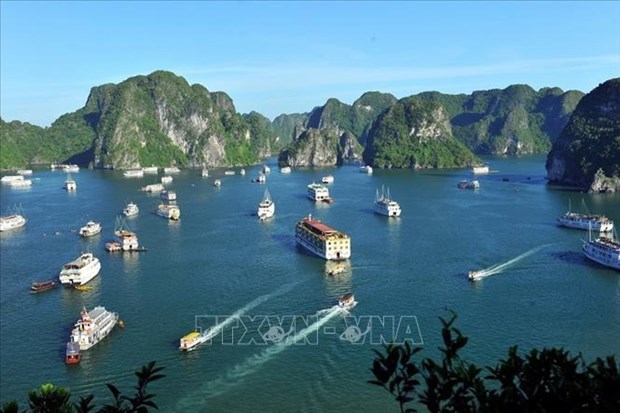 Quang Ninh prete au retour des touristes internationaux hinh anh 1