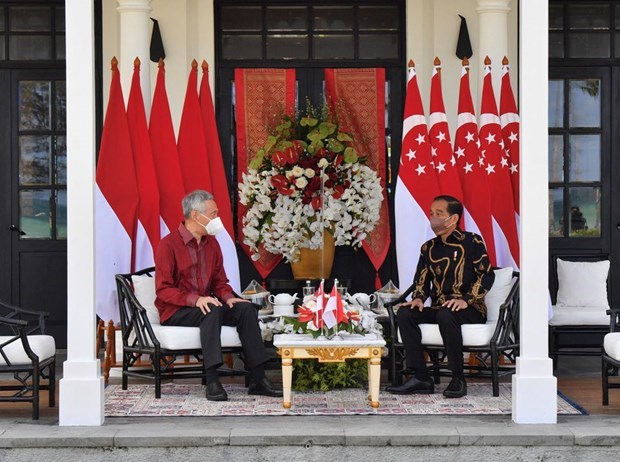 L’Indonesie et Singapour cooperent sur la reprise economique hinh anh 1