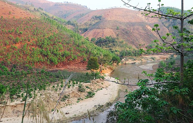 Le Vietnam compte plus de 1,2 million d'hectares de terres inexploitees hinh anh 1