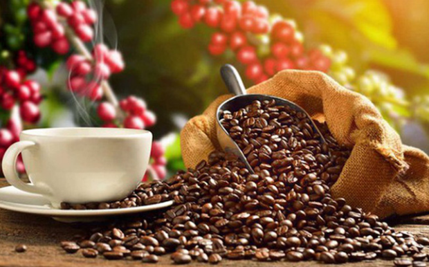 Le Japon augmente ses importations de cafe vietnamien hinh anh 1