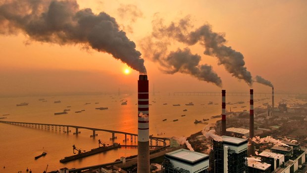 Le Vietnam compte developper son marche du carbone hinh anh 1