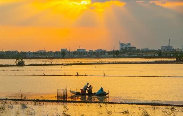 Mise en œuvre d’un projet de gestion des ressources naturelles dans le delta du Mekong hinh anh 1