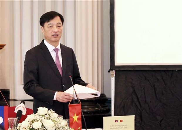 Le Vietnam et le Laos cooperent contre la drogue hinh anh 2