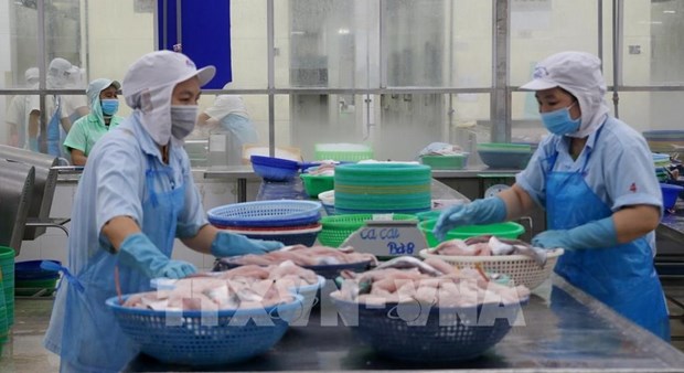 Le potentiel d'exportation de produits aquatiques vietnamiens vers la Chine tres important hinh anh 1