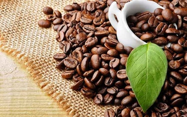 Les exportations de cafe en cinq mois depassent 2 milliards de dollars hinh anh 1