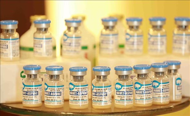 Un journal francais loue la mise au point par le Vietnam d'un vaccin contre la PPA hinh anh 1