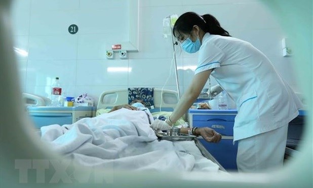 Hanoi detecte 19 foyers de dengue depuis le debut de l'annee hinh anh 1