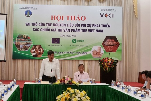 Promouvoir les valeurs economiques du bambou vietnamien hinh anh 1