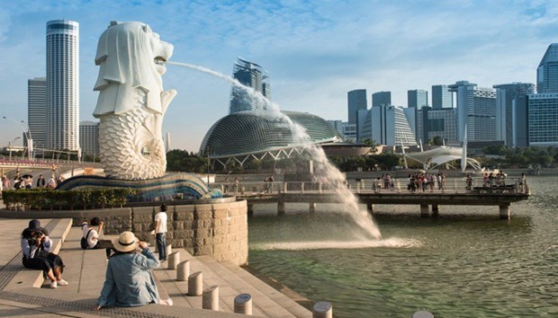 Le Vietnam occupe la cinquieme place en nombre de touristes etrangers a Singapour hinh anh 1