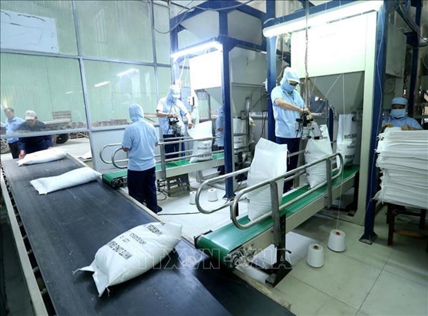 Les exportations du riz vietnamien depasseront l'objectif annuel hinh anh 2