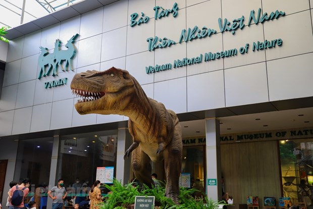 Le Musee de la nature du Vietnam devoile l’epopee de la vie hinh anh 2