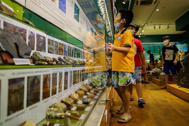 Le Musee de la nature du Vietnam devoile l’epopee de la vie hinh anh 3
